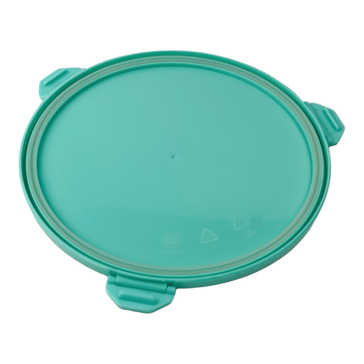 Poke Salad Bowl with 3 Part Divider - Paradise Aqua