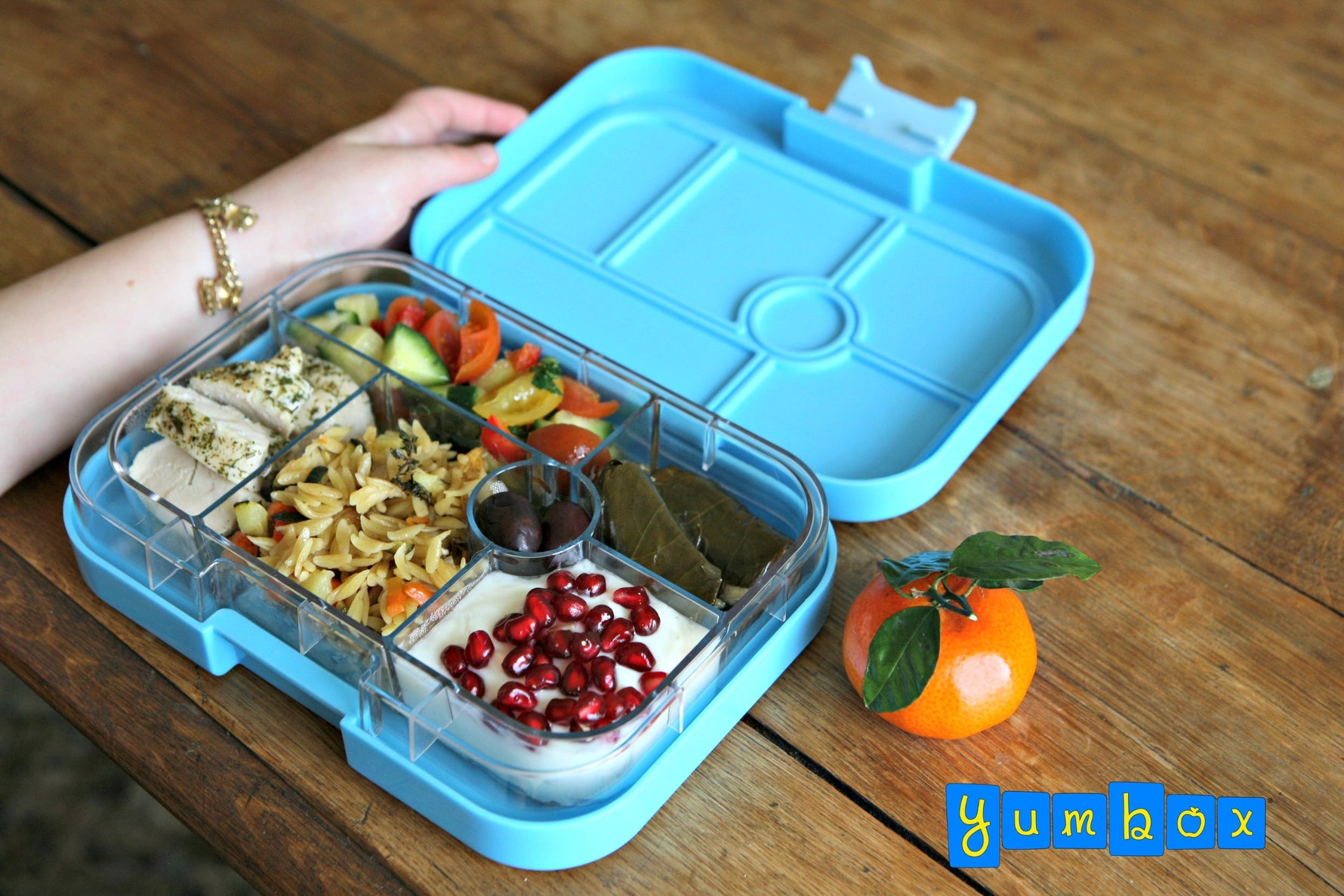 School Lunches Around the World
