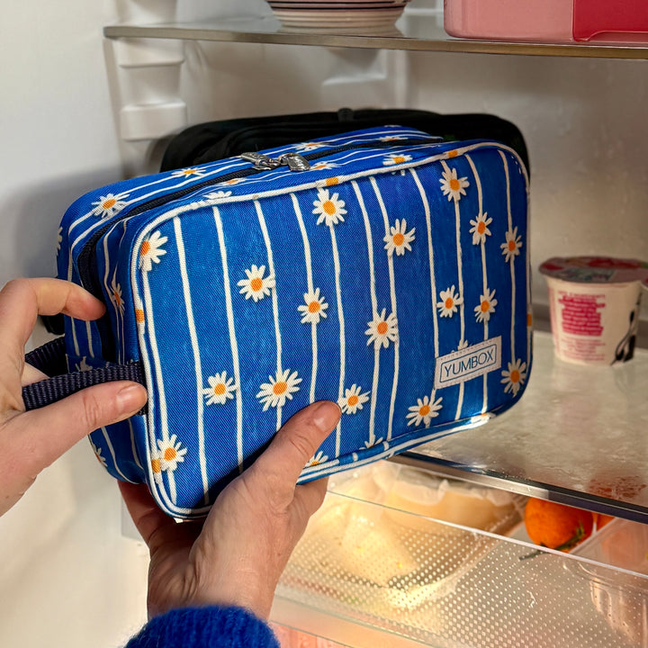 #color_daisy-stripes-blue