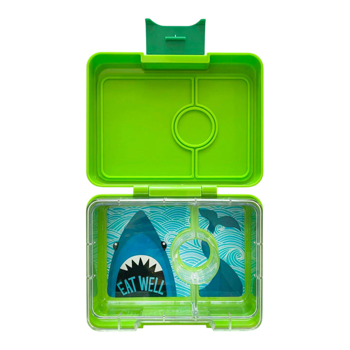 Snack Size Bento Lunch Box Jurassic Green (Shark)