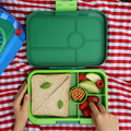 Tapas Large Leakproof Bento Lunch Box 4 Compartments · Palm Green Lime Tray