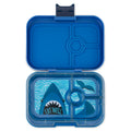 #color_surf-shark-blue
