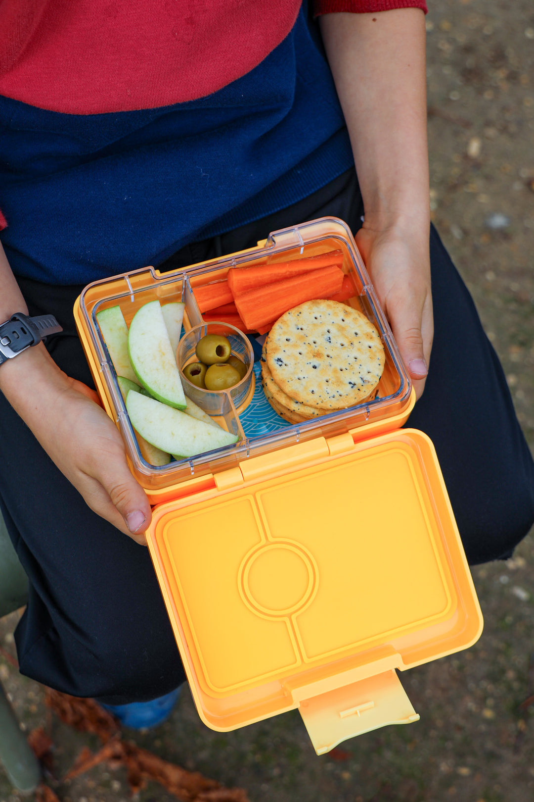 Snack Size Bento Lunch Box Yoyo Yellow (Shark)