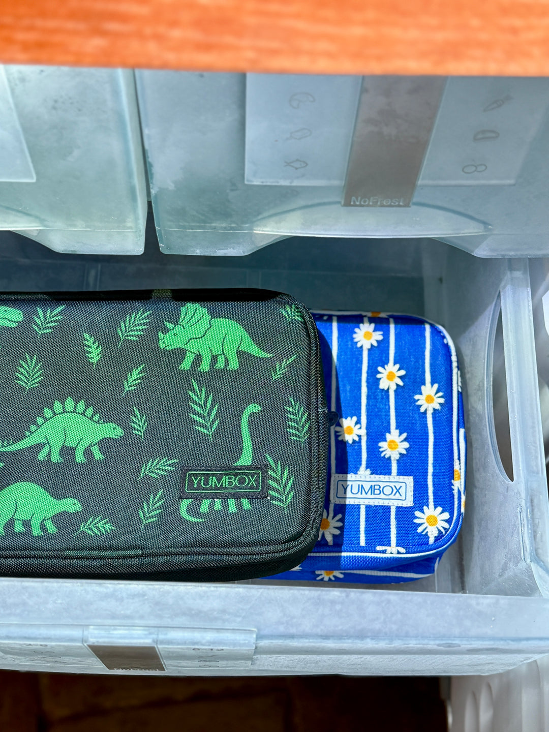 #color_dinosaurs-green