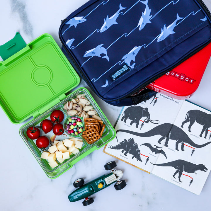 Snack Size Bento Lunch Box Jurassic Green (Shark)