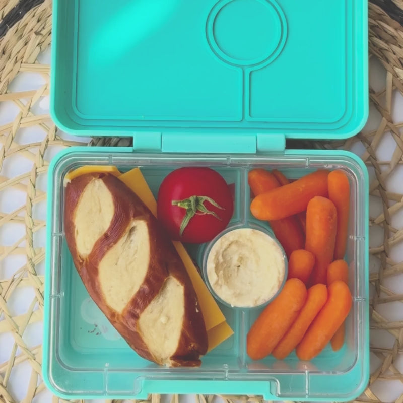 Snack Size Small Bento Lunch Box Miami Aqua (Rainbow)
