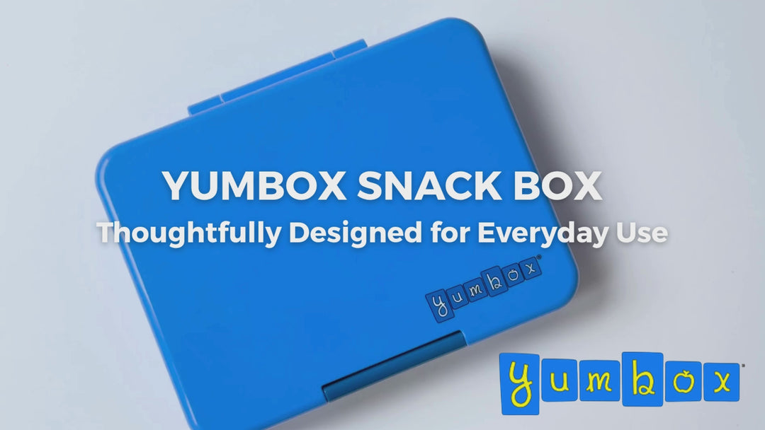 Snack Size Bento Lunch Box Surf Blue (Shark)
