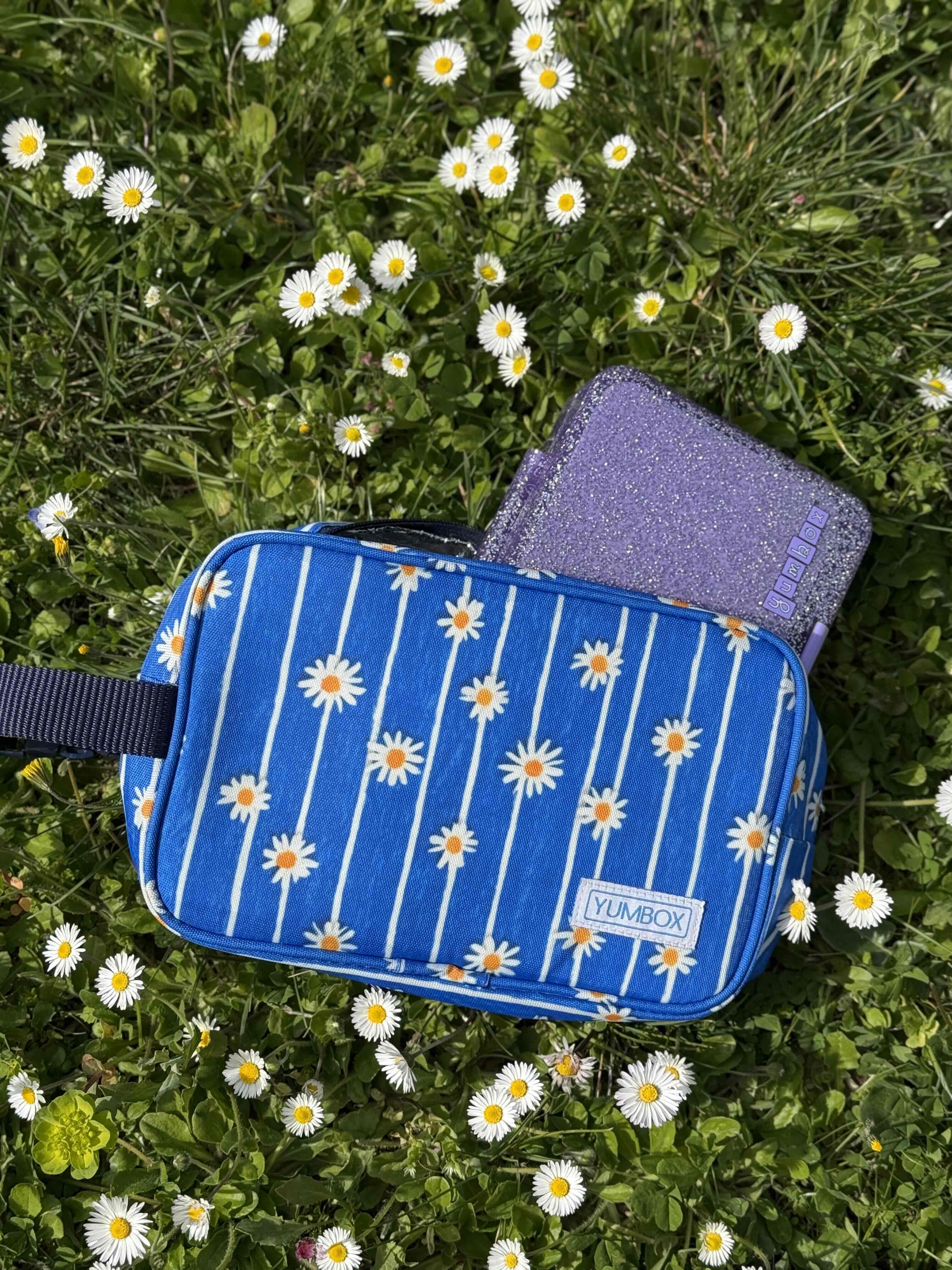 Camp Day Essentials – Yumbox