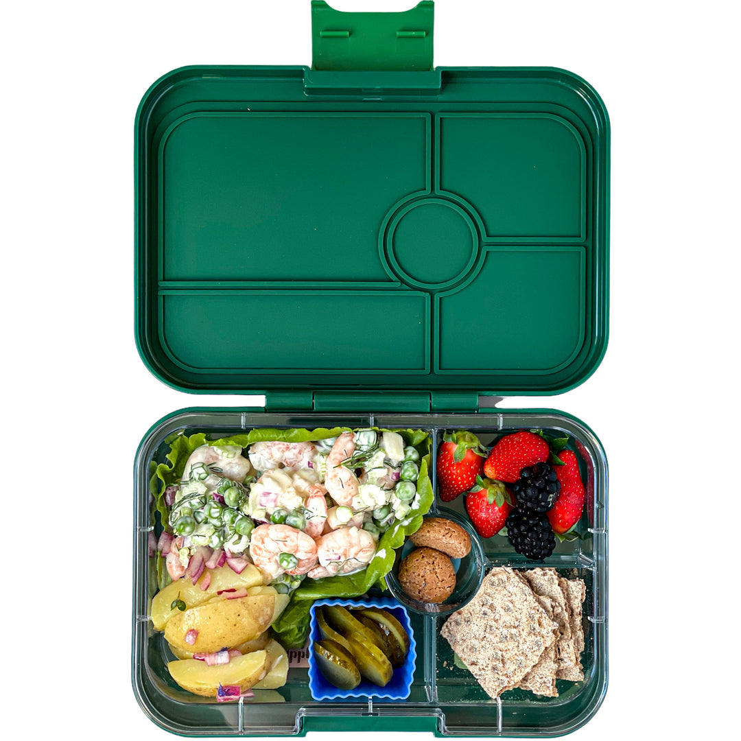 Bento Lunch Box for Kids Adult 4/2 Compartment with Handle